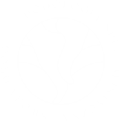 Swoją Drogą Podologia Specjalistyczna